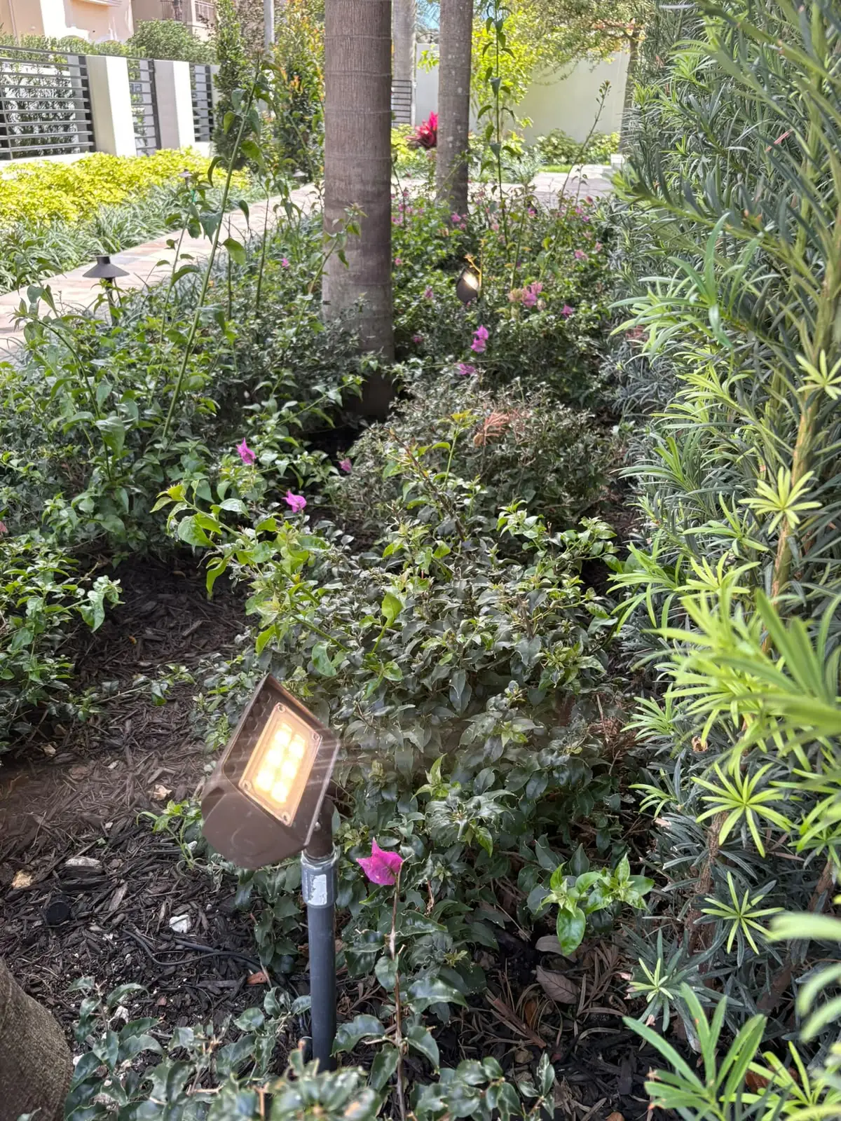 Completed garden lighting installation